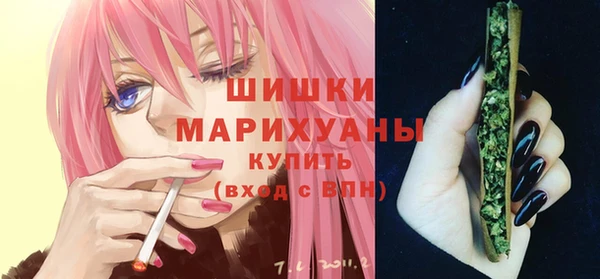 ГАЛЛЮЦИНОГЕННЫЕ ГРИБЫ Арсеньев