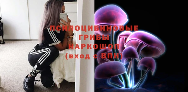 ГАЛЛЮЦИНОГЕННЫЕ ГРИБЫ Арсеньев