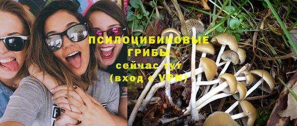 Альфа ПВП Няндома