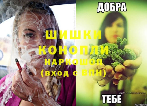 ГАЛЛЮЦИНОГЕННЫЕ ГРИБЫ Арсеньев