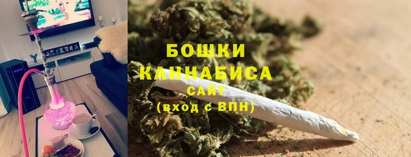 ГАЛЛЮЦИНОГЕННЫЕ ГРИБЫ Арсеньев