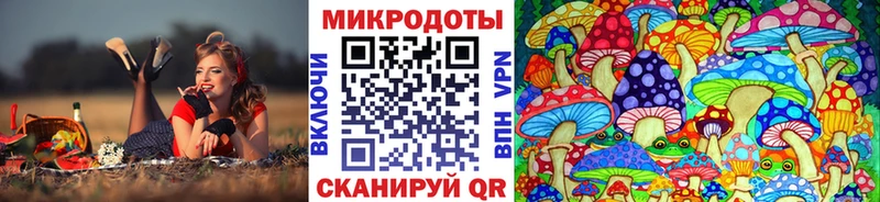 Псилоцибиновые грибы ЛСД где можно купить наркотик Сегежа